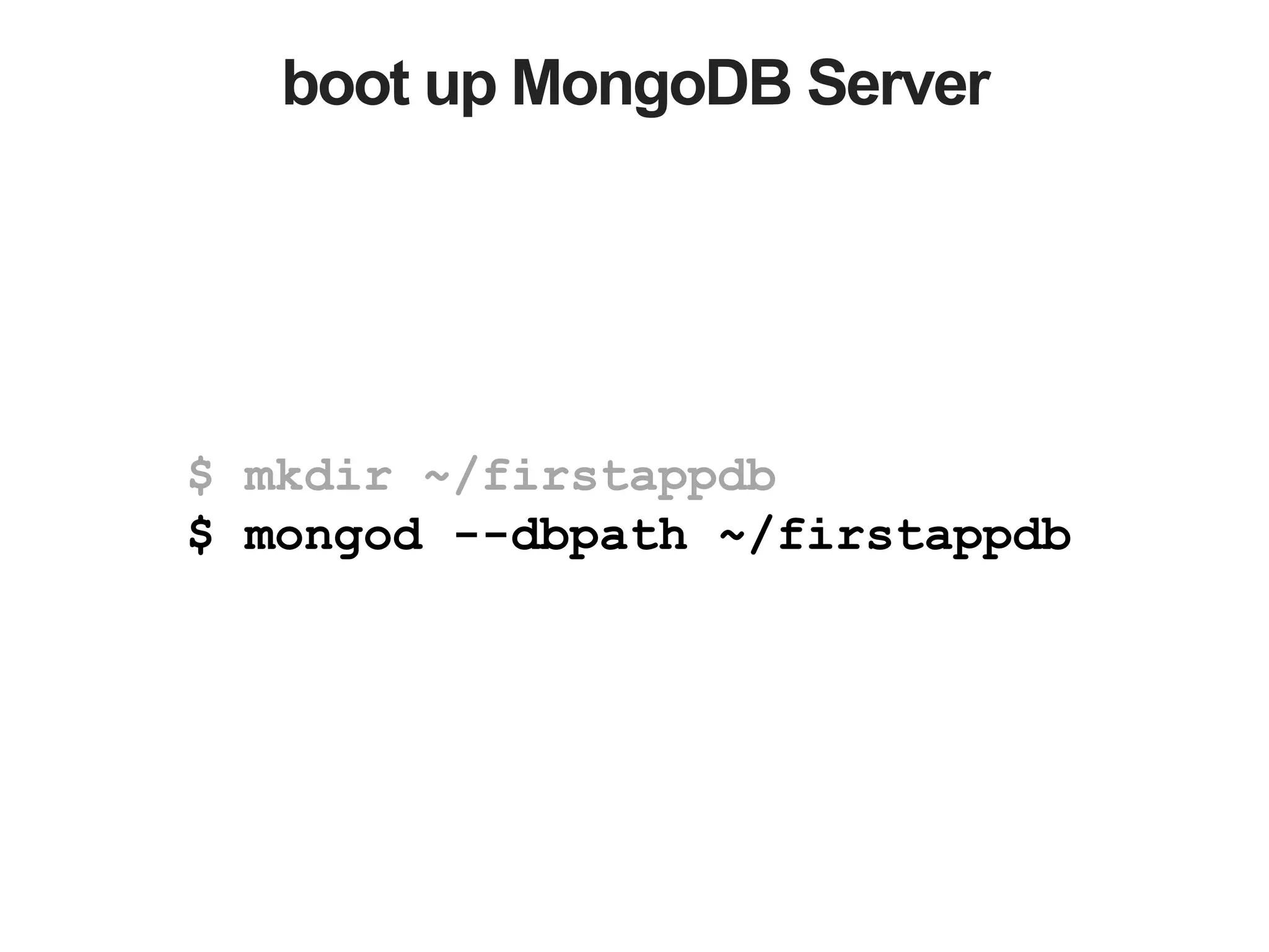 boot up MongoDB Server
$ mkdir ~/firstappdb
$ mongod --dbpath ~/firstappdb
 