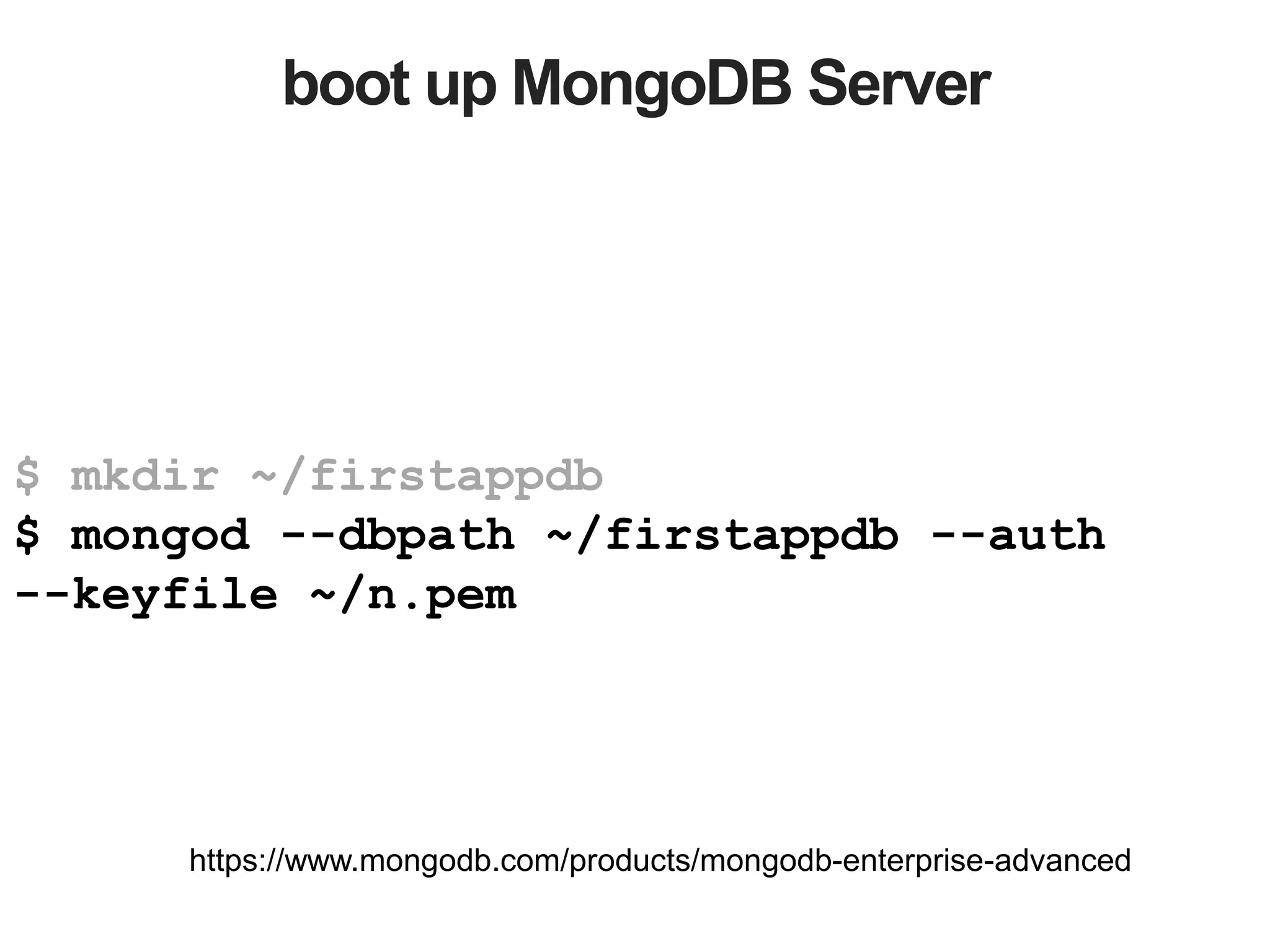 boot up MongoDB Server
$ mkdir ~/firstappdb
$ mongod --dbpath ~/firstappdb --auth
--keyfile ~/n.pem
https://www.mongodb.com/products/mongodb-enterprise-advanced
 