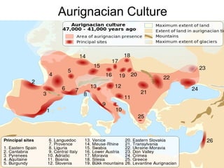 Aurignacian Culture
 