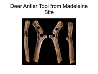 Deer Antler Tool from Madeleine
Site
 