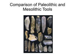 Comparison of Paleolithic and
Mesolithic Tools
 