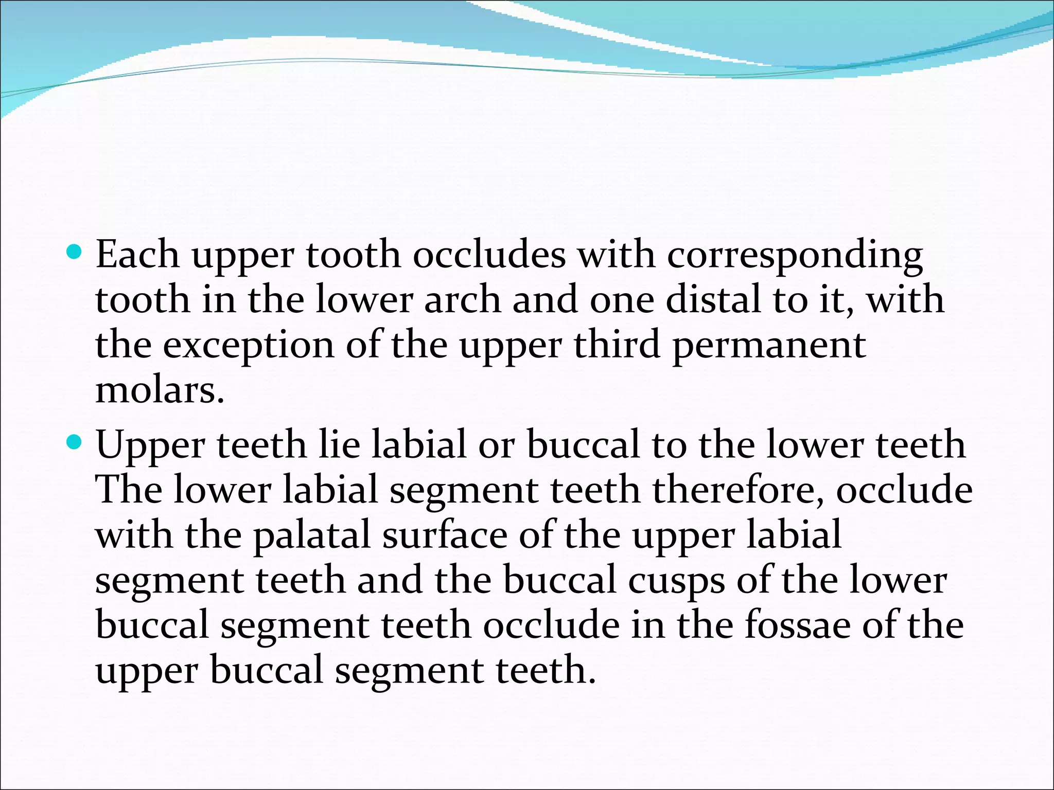 Each upper tooth occludes with corresponding tooth in the lower arch and one distal to it, with the exception of the upper third permanent molars.  Upper teeth lie labial or buccal to the lower teeth The lower labial segment teeth therefore, occlude with the palatal surface of the upper labial segment teeth and the buccal cusps of the lower buccal segment teeth occlude in the fossae of the upper buccal segment teeth.  