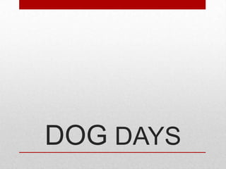 DOG DAYS

 