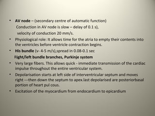 First cardiovascular physiology | PPT