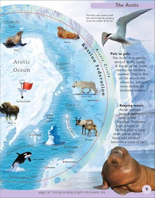 The Arctic
                                                                               The Arctic tern catches small
                                                                               fish and shrimps by swooping
                                                                               across the surface of the sea.
Chukchi
  Sea


                                                         Walrus




                                                                          R
                                                                           us
       Seal




                                                                                         A
                                                                                           rc
                                                                                                         Pole to pole




                                                                                si

                                                                                             ti
                                                                                                          The Arctic tern spends




                                                                                   an
      Arctic




                                                                                              c
                                                                                                           most of its life flying.
                                                     Laptev




                                                                                                 Ci
                                                                                                            It breeds in the Arctic




                                                                                         Fed
      Ocean                                           Sea                                                    during the northern




                                                                                                   rcl
                                                                                                              summer. Then it flies




                                                                                           erat
                                                                                                     e
                                                                                                               all the way to the
                                                                                                                Antarctic, where it
                                                                                                                stays during the


                                                                                             ion
                                                                                                                southern summer.
                                                                          Arctic wolf
                                                                                Noril’sk
           The North Pole
                                                          Kara                                                 Keeping warm
                                                           Sea                                                 Arctic animals
                                           Franz                                                               have to endure
                                           Josef                                                              bitterly cold
                                                          Novay




                                           Land                                                               weather. Walruses
 Musk ox
                                                                                                             have a layer of
                                                               a Ze




                                                                                                            blubber (fat) to keep
                                                                   ml




                                                                                                           them warm. Polar
                                                                      y




                        Svalbard
                                                                    a




                                                                              Reindeer
                                                                                                          bears and reindeer
                                                                                                         have thick coats of fur.
           an     d Sea                                  Barents
     re enl                                    Iceberg
                                                           Sea
 G
                            Killer whale
                                                         Murmansk

                                            Tromsø



  Norwegian Sea


                                 An American called Robert Peary, in 1909.                                                          9
 