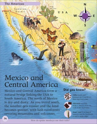The Americas                                                                                                                         N
                                                                   Prickly
                                                                   pear cactus
                  Sonoran
Tijuana            Desert                                                             U S A
 Baj




                                                                                                                  W                                    E
     a

     Gul
       Ca

         f of r n


                                                                                          R i o G ra n de
                                                                                                                                      S
            li




                                                 Cattle
                  Ca i a
               fo

                    lif



                                                                                      S                                   Armadillo
                       or



                       ni
                         a             Si




                                                                                      ie
                                          er




                                                                                           rr
                                            ra




                                                                                              a
                                                                                                 M
                                                 M
                                                   ad




                                                                                                   ad
                                                                                                                Monterrey
                                                      re           Monarch




                                                                                                                                      Gulf of Mexico
                                                                                                       re
                     Boojum                 Los Mochis     O       butterflies
                     tree




                                                                                                            Or
                                                            cc      d
                                                               i        en




                                                                                                              ien
                                                                                                                       Atlante
                                       Brown
                                                                             ta                   Mariachi
                                                                                                                       statue
                              La Paz                                              l                                    at Tula




                                                                                                                tal
                                       pelican


          Grey                                                                        M e x i c o
          whale                                            Agave
                                       Pa c
                                           ifi




                                                 cO                     Guadalajara

                                                          cea                                                               MEXICO CITY
                                                                                                                                               Veracruz
                                                              n
 Mexico and                                                                                   Catedral Metropolitana




 Central America                                                                                            Acapulco


                                                                                                Did you know?
 Mexico and Central America form a
 natural bridge linking the USA to                                                                               Coffee beans and
                                                                                                                 bananas are Costa Rica’s
 South America. The north of Mexico                                                                              most important crops.

 is dry and dusty. As you travel south,                                                                          Chocolate was first
 the weather gets rainier and the land                                                                           made in Mexico, from the
                                                                                                                 seeds of the cacao tree.
 becomes greener, with lush rainforests
                                                                                                                 Sugar cane from Central
 covering mountains and volcanoes.                                                                               America and the Caribbean
                                                                                                                 is used to make sugar.
14
                                  How do spider monkeys use their tails?
 