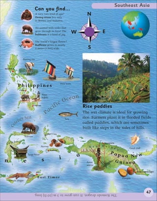 Southeast Asia
                                Can you find...
                                A very rare kind of ape?
                                Orang-utans live only
                                                                              N
                                in Borneo and Sumatra.

                                An animal with tusks that
                                grow through its face? The
                                babirusa is a kind of pig.
                                                                        W               E
                                The world’s largest flower?
                                Rafflesia grows to nearly
                                a metre (3 feet) wide.                         S

                Planting rice



MANILA




                                                          Vinta boats
           Philippines
              Cebu
                                       Water
                                       buffalo
                                                              O cean
                               Davao
                                                  ci fic                    Rice paddies
                                           Pa                               The wet climate is ideal for growing
              es     Sea                                      Tuna
                                                                            rice. Farmers plant it in flooded fields
          leb                                                               called paddies, which are sometimes
    Ce




                                                                            built like steps in the sides of hills.
                                                 luccas
                    Babirusa               Mo

       ebes
 Cel                                                                                     Jayapura
                                       Nutmeg                                   N e w   G u i n
                                                                                                e a          Conch shell
                                                 Ambon
                                                                                             Pap
                       Toraja house
                                                          i             a                             ua New
n                e                     s                                      Asmat                 Guinea
                                                                              warrior


                                DILI                                                                                PORT MORESBY

                                 East Timor                                                            Mangoes
    Komodo dragon




                               The Komodo dragon. It can grow to 3 m (10 ft) long.                                         47
 