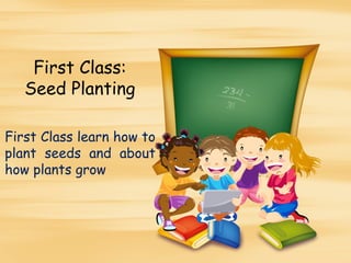 First Class:
   Seed Planting

First Class learn how to
plant seeds and about
how plants grow
 