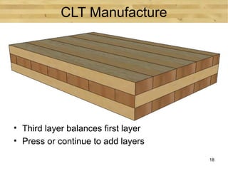 First Commercial CLT Project in the USA | PPT