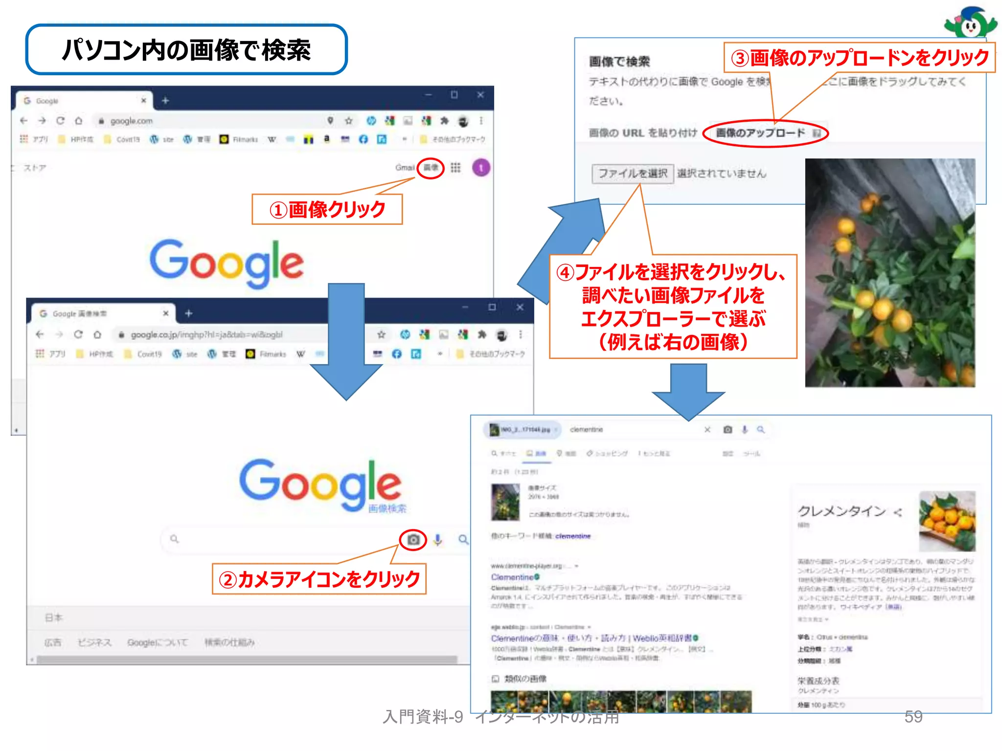 パソコン内の画像で検索
①画像クリック
②カメラアイコンをクリック
③画像のアップロードンをクリック
④ファイルを選択をクリックし、
調べたい画像ファイルを
エクスプローラーで選ぶ
（例えば右の画像）
入門資料-9 インターネットの活用 59
 