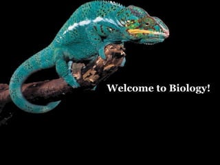 Welcome to Biology! 