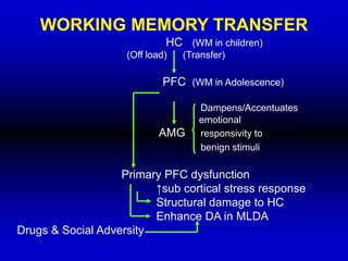 WORKING MEMORY TRANSFER
HC (WM in children)
(Off load) (Transfer)
PFC (WM in Adolescence)
Dampens/Accentuates
emotional
AMG responsivity to
benign stimuli
Primary PFC dysfunction
↑sub cortical stress response
Structural damage to HC
Enhance DA in MLDA
Drugs & Social Adversity
 