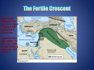 The Fertile CrescentThe Fertile Crescent was the first region to have a full Agricultural Revolution.Domestication: figs, wheat, barley, rye, peas, lentils, sheep, goats, pigs, and cattle.