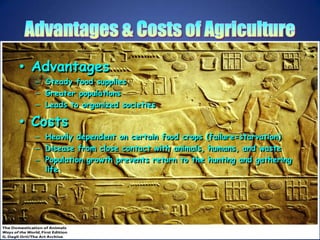Advantages & Costs of AgricultureAdvantagesSteady food suppliesGreater populationsLeads to organized societiesCostsHeavily dependent on certain food crops (failure=starvation)Disease from close contact with animals, humans, and wastePopulation growth prevents return to the hunting and gathering life.
