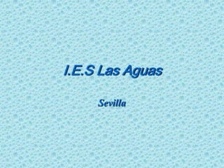 I.E.S Las Aguas Sevilla 