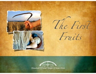 The Fir!
 Fruits
 
