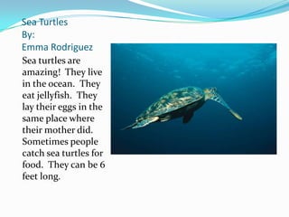 Sea Turtles
By:
Emma Rodriguez
Sea turtles are
amazing! They live
in the ocean. They
eat jellyfish. They
lay their eggs in the
same place where
their mother did.
Sometimes people
catch sea turtles for
food. They can be 6
feet long.
 