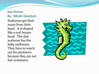 Sea Horses
By: Micah Goodson
Seahorses get their
name from their
head. It is shaped
like a real horses
head. The dad
seahorse has the
baby seahorses.
They have to watch
out for predators
because they are not
fast swimmers.
 