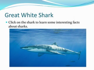 Great White Shark
 Click on the shark to learn some interesting facts
 about sharks.
 