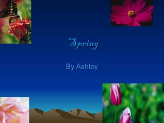 Spring By Ashley 