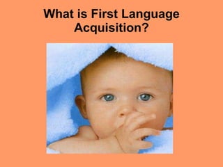 What is First Language Acquisition? 