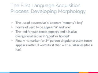The First Language Acquisition
Process: Developing Morphology
▷ The use of possessive ‘s’ appears ‘mommy’s bag’
▷ Forms of verb to be appear ‘is’ and ‘are’
▷ The –ed for past tense appears and it is also
overgeneralized as in ‘goed’ or holded’
▷ Finally –s marker for 3rd person singular present tense
appears with full verbs first then with auxiliaries (does-
has)
 