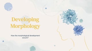 Developing
Morphology
How the morphological development
occurs?
 