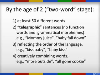 By the age of 2 (“two-word” stage):
  1) at least 50 different words
  2) “telegraphic” sentences (no function
    words and grammatical morphemes)
    e.g., “Mommy juice”, “baby fall down”
  3) reflecting the order of the language.
    e.g., “kiss baby”, “baby kiss”
  4) creatively combining words.
    e.g., “more outside”, “all gone cookie”
 