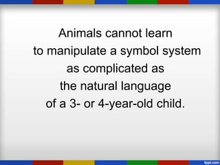 Animals cannot learn
to manipulate a symbol system
       as complicated as
      the natural language
   of a 3- or 4-year-old child.
 