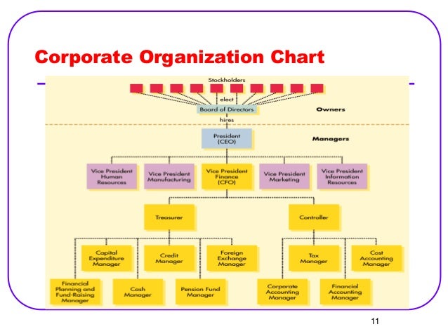 Corporate Finance Organizational Chart Financeviewer