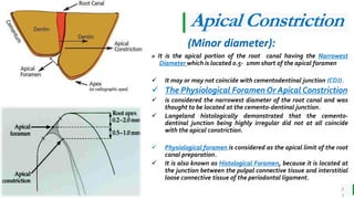 First lecture endodontic scoop an introduction | PDF