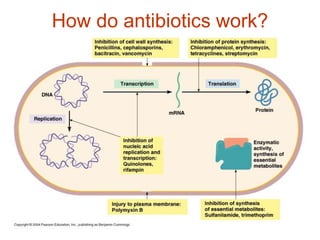 How do antibiotics work?
 