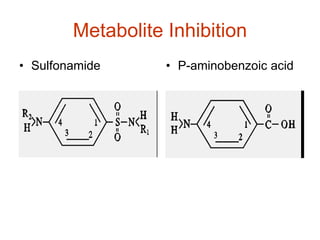 Metabolite Inhibition
• Sulfonamide • P-aminobenzoic acid
 