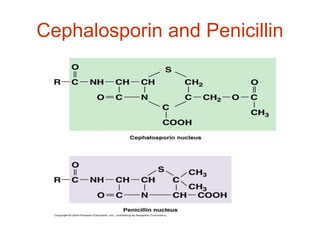 Cephalosporin and Penicillin
 