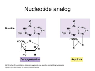 Nucleotide analog
 