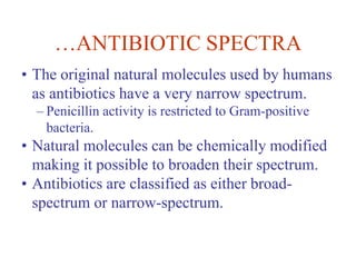 …ANTIBIOTIC SPECTRA
• The original natural molecules used by humans
as antibiotics have a very narrow spectrum.
– Penicillin activity is restricted to Gram-positive
bacteria.
• Natural molecules can be chemically modified
making it possible to broaden their spectrum.
• Antibiotics are classified as either broad-
spectrum or narrow-spectrum.
 