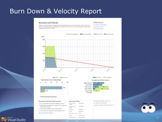 Burn Down & Velocity Report  