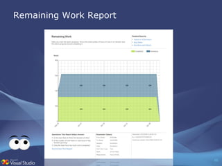 Remaining Work Report 