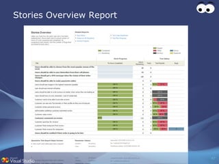 Stories Overview Report 