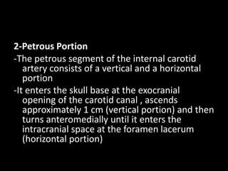 2-Petrous Portion
-The petrous segment of the internal carotid
artery consists of a vertical and a horizontal
portion
-It enters the skull base at the exocranial
opening of the carotid canal , ascends
approximately 1 cm (vertical portion) and then
turns anteromedially until it enters the
intracranial space at the foramen lacerum
(horizontal portion)
 
