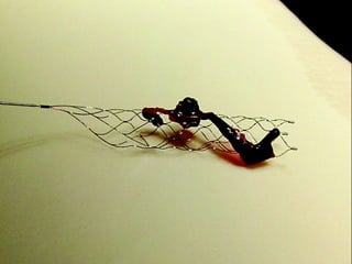 Cerebral Vascular Anatomy and Technique