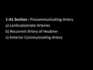 1-A1 Section : Precommunicating Artery
a) Lenticulostriate Arteries
b) Recurrent Artery of Heubner
c) Anterior Communicating Artery
 