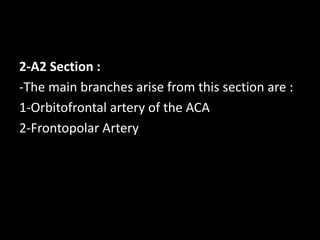 2-A2 Section :
-The main branches arise from this section are :
1-Orbitofrontal artery of the ACA
2-Frontopolar Artery
 