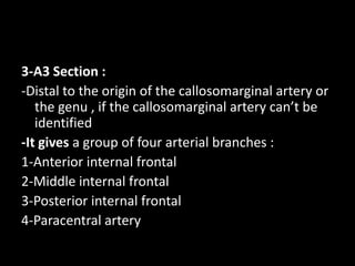 3-A3 Section :
-Distal to the origin of the callosomarginal artery or
the genu , if the callosomarginal artery can’t be
identified
-It gives a group of four arterial branches :
1-Anterior internal frontal
2-Middle internal frontal
3-Posterior internal frontal
4-Paracentral artery
 