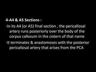 4-A4 & A5 Sections :
-In its A4 (or A5) final section , the pericallosal
artery runs posteriorly over the body of the
corpus callosum in the cistern of that name
-It terminates & anastomoses with the posterior
pericallosal artery that arises from the PCA
 