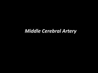 Middle Cerebral Artery
 