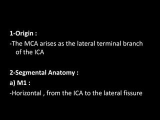 1-Origin :
-The MCA arises as the lateral terminal branch
of the ICA
2-Segmental Anatomy :
a) M1 :
-Horizontal , from the ICA to the lateral fissure
 