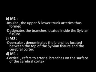 b) M2 :
-Insular , the upper & lower trunk arteries thus
formed
-Designates the branches located inside the Sylvian
fissure
c) M3 :
-Opercular , denominates the branches located
between the top of the Sylvian fissure and the
cerebral cortex
d) M4 :
-Cortical , refers to arterial branches on the surface
of the cerebral cortex
 
