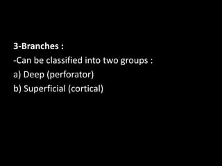 3-Branches :
-Can be classified into two groups :
a) Deep (perforator)
b) Superficial (cortical)
 
