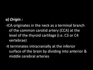 a) Origin :
-ICA originates in the neck as a terminal branch
of the common carotid artery (CCA) at the
level of the thyroid cartilage (i.e. C3 or C4
vertebrae)
-It terminates intracranially at the inferior
surface of the brain by dividing into anterior &
middle cerebral arteries
 